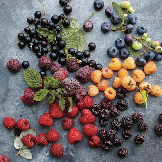 msl-berries-2-mld107637.jpg