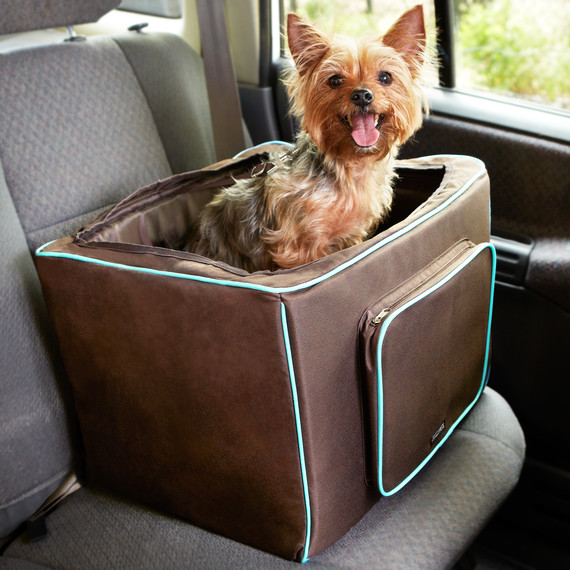 mspets-booster-mrkt-613.jpg