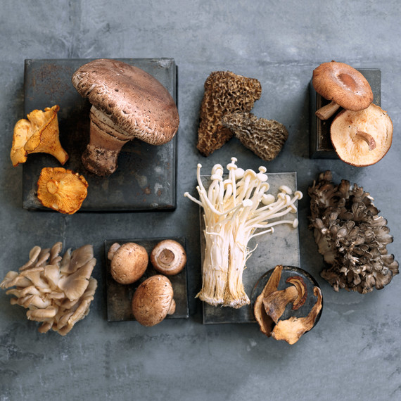 assorted mushroom varieties assorted mushroom varieties