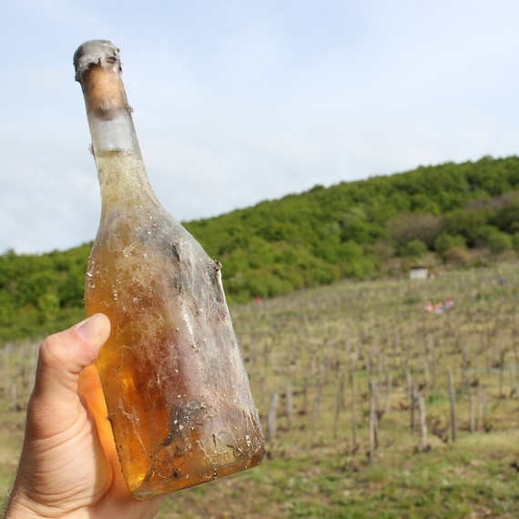 orange-wine-bottle-1216.jpg (skyword:376386)