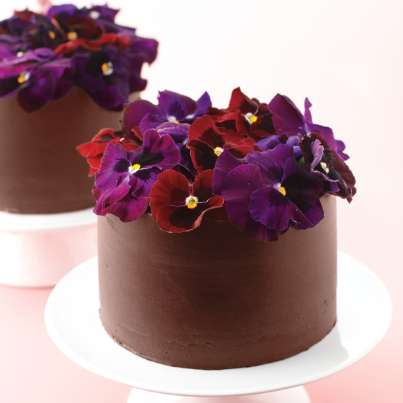 chocolate cakes with pansies chocolate cakes with pansies