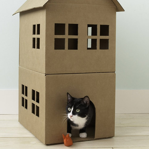 pc_wgd104781_cathouse3a.jpg