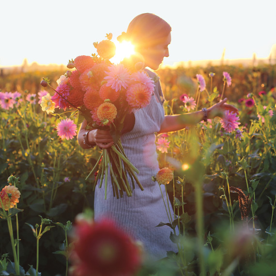 picking-flowers-s111606.jpg
