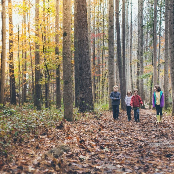 serenbe trail kids serenbe trail kids