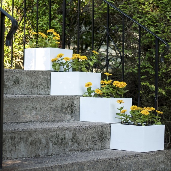 stair-step-planter-0416.jpg (skyword:269085)