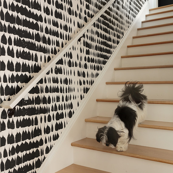 wallpaper-stairway-0516.jpg (skyword:269831)