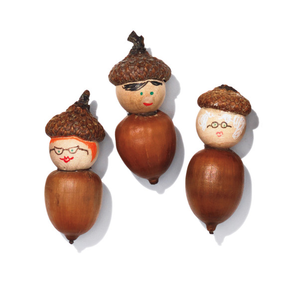 acorn-people-543-d111372.jpg