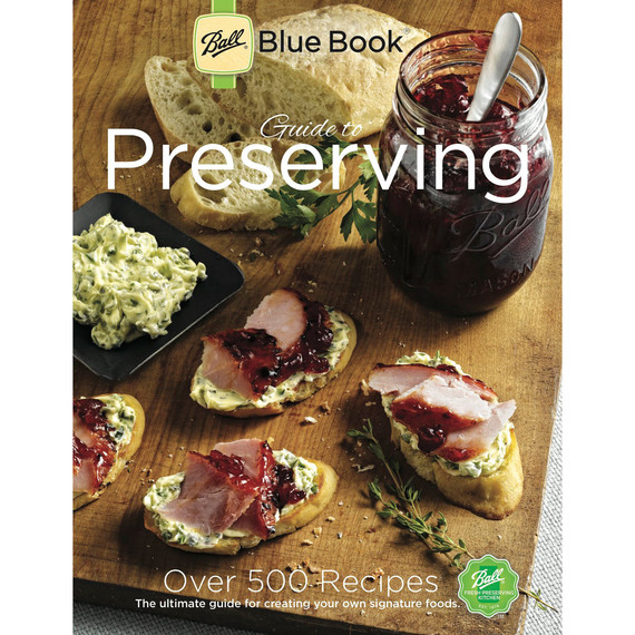 blue ball bookcover blue ball bookcover