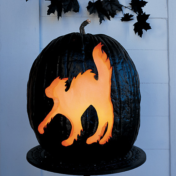 cat-pumpkin-1005-a101225.jpg