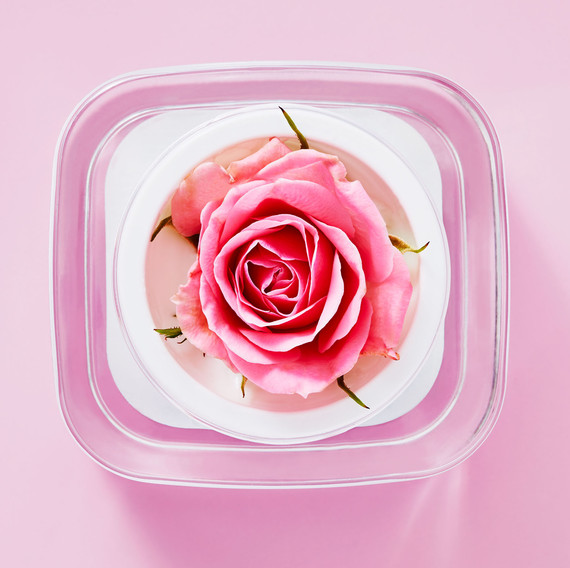 cream flower cream flower