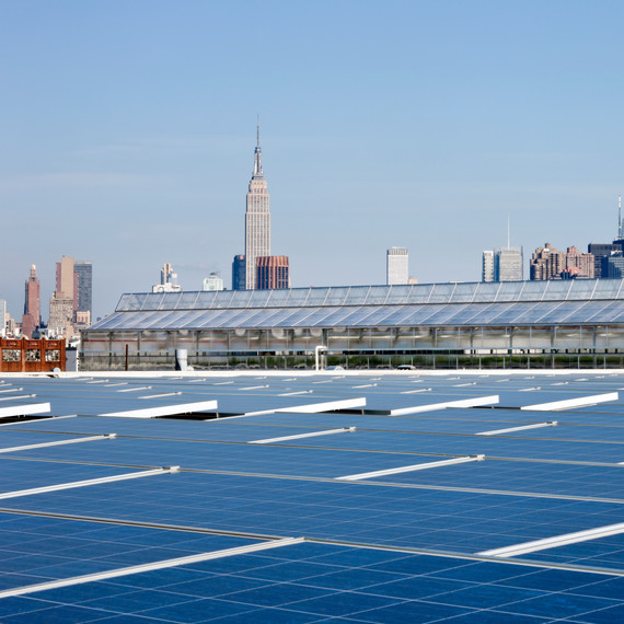 gotham-greens-greenhouse.jpg