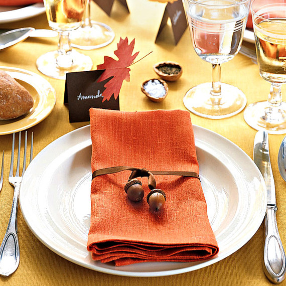 mla103704_1108_napkintie.jpg