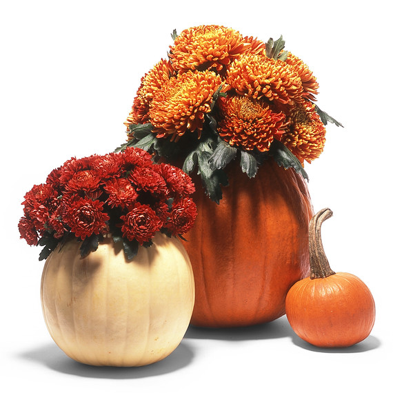 msl_oct06_15yr_cachepots.jpg