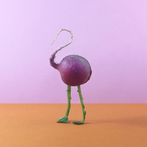 mundane-matters-flamingo