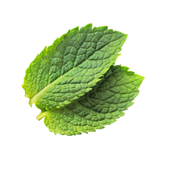 peppermint oil peppermint oil