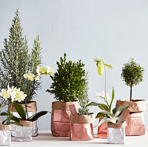 plant gift bag plant gift bag