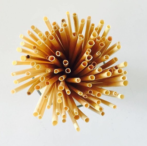 reed straws reed straws