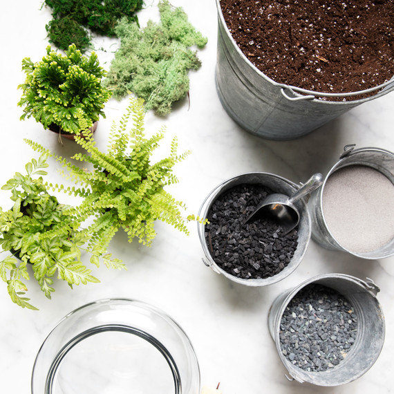 terrarium materials terrarium materials