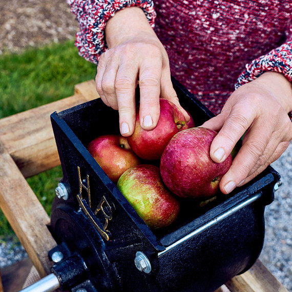 apple press with whole apples to be crushed apple press with whole apples to be crushed