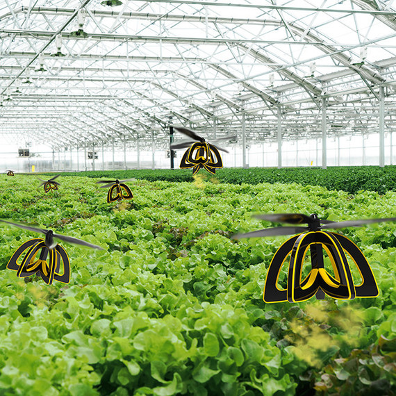 bee drone pollinator bee drone pollinator