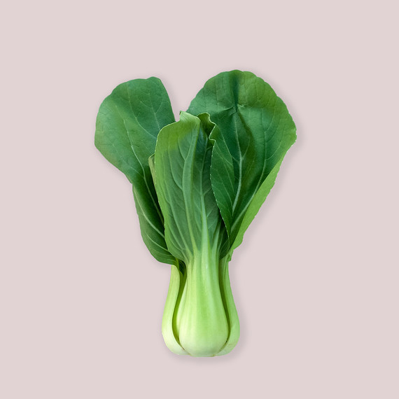 bok choy bok choy