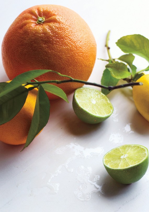 citrus-for-martha-stewart.jpg (skyword:397322)