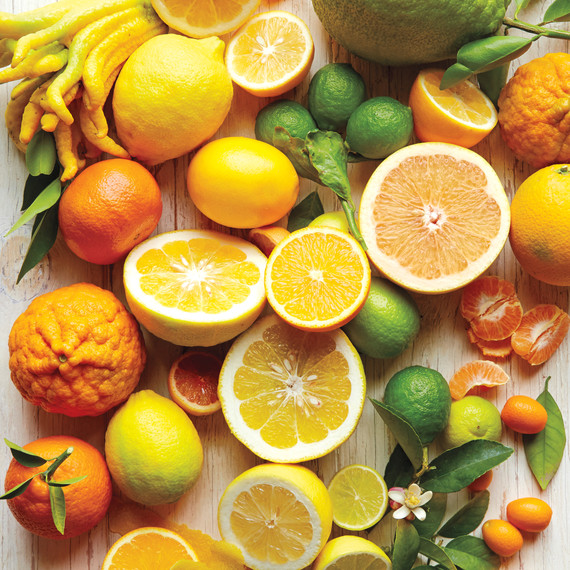 citrus-title-page-s112598.jpg