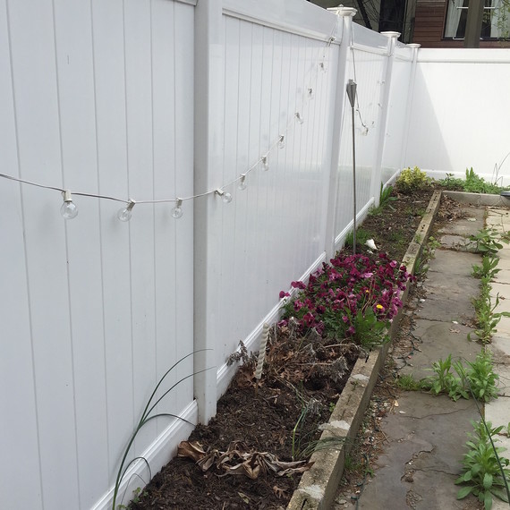 garden-border-before-0616.jpg (skyword:296478)