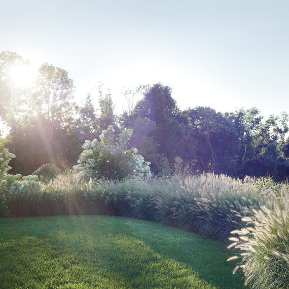 grassborder-flare-d110545.jpg
