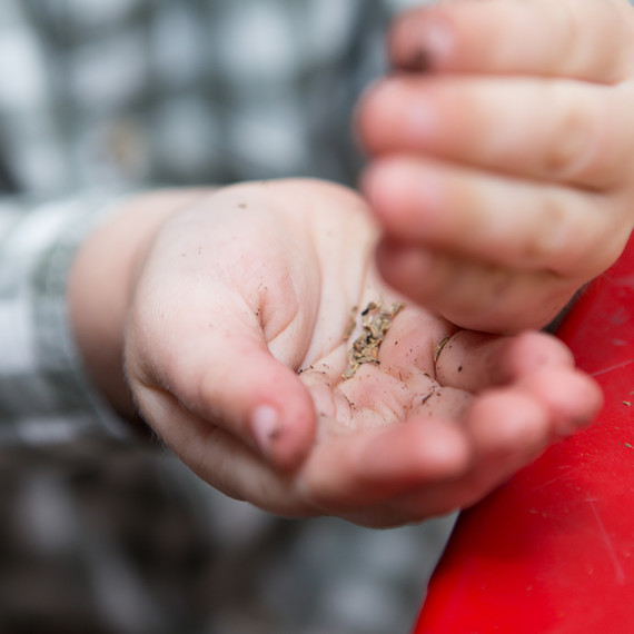 kids-gardening-seeds-0316.jpg (skyword:243073)