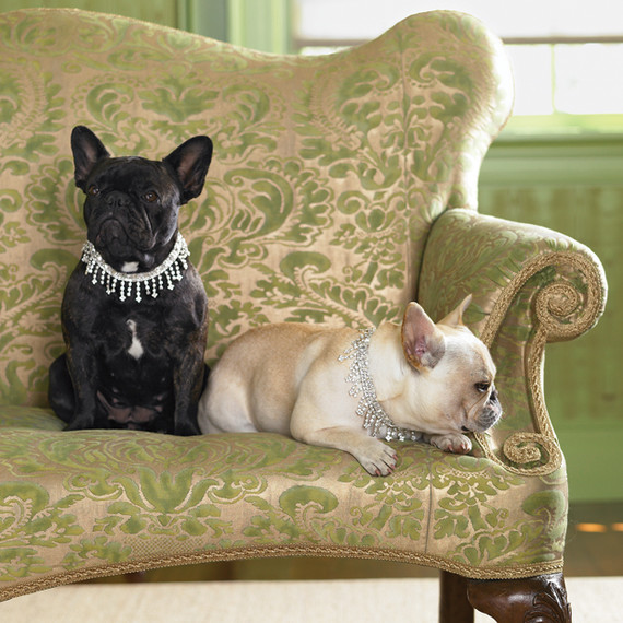 la103157_1207_dognecklace.jpg