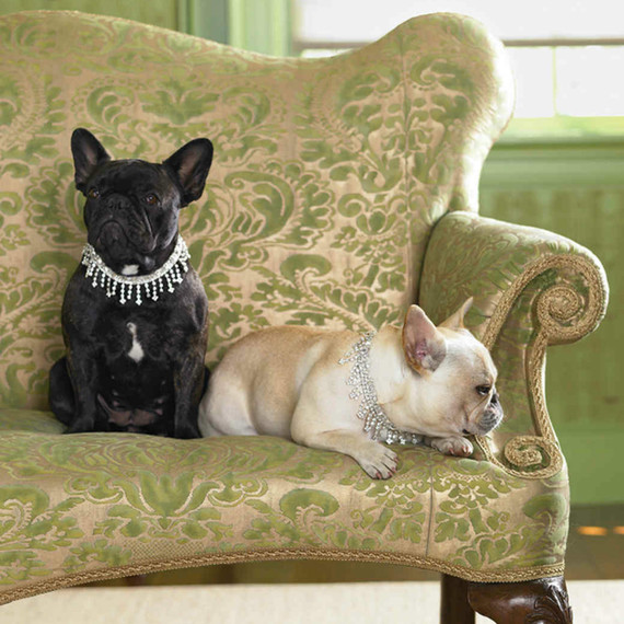la103157_1207_dognecklace_vert.jpg (skyword:403677)