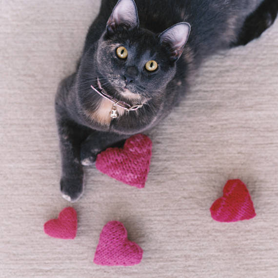 la104506_0209_catnphearts.jpg