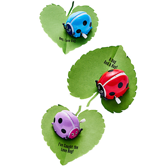 Love bug Love bug