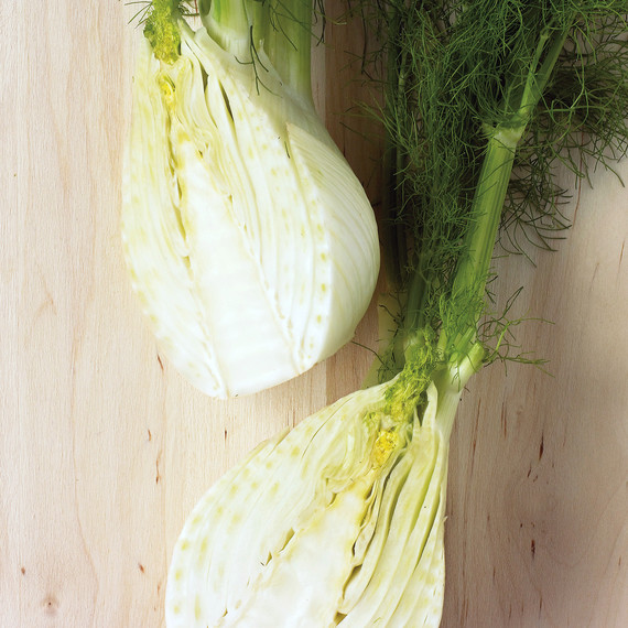 med105046_1109_hyt_fennel.jpg