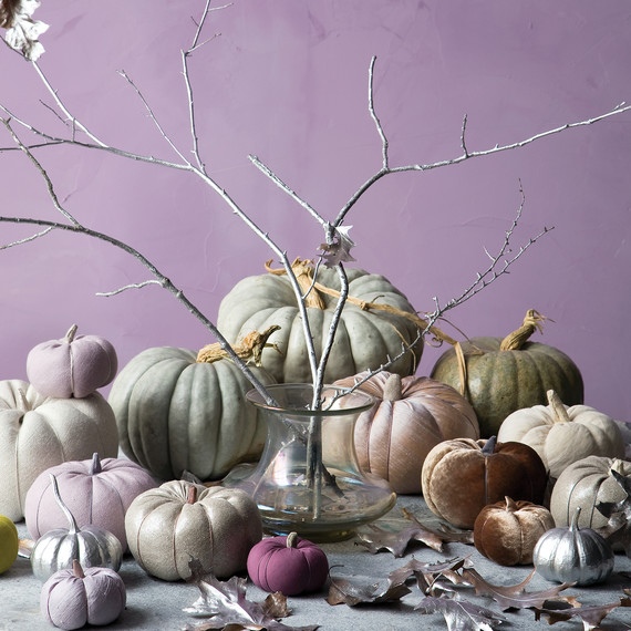 mld104657_1109_pumpkins16.jpg