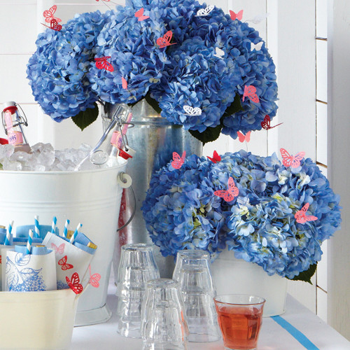 mld105779_0610_hydrangias.jpg