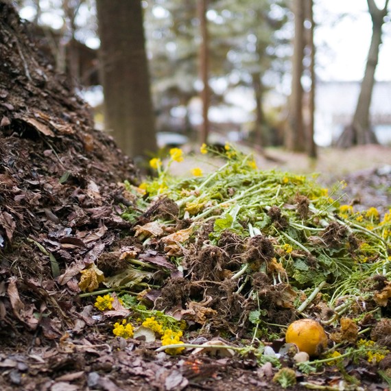 organic-compost-pile-0315