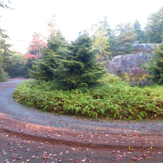 picking-up-roads-skylands.jpg