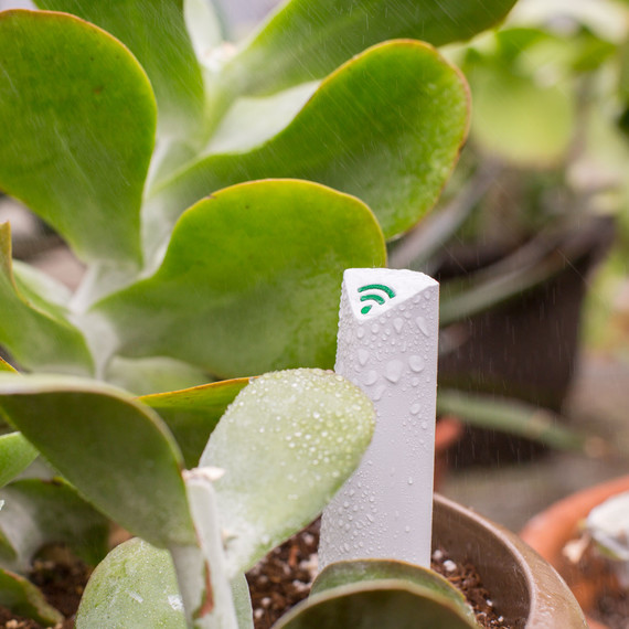 plantlink smart home plantlink smart home