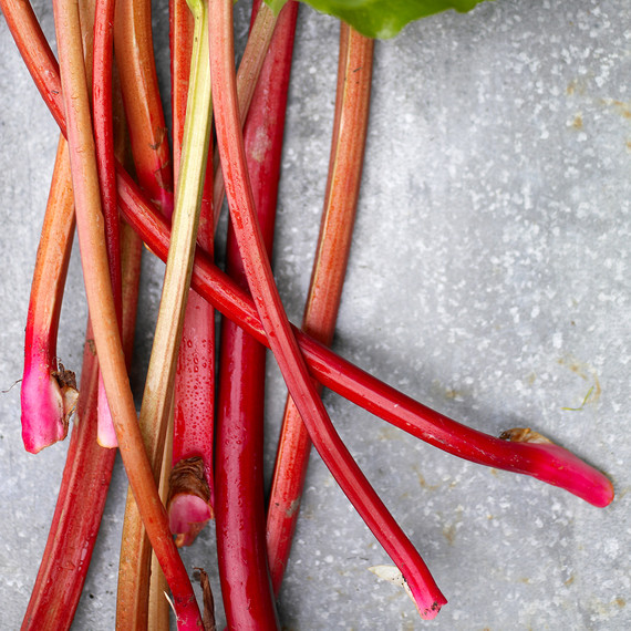 rhubarb2-d103274-123-0308.jpg