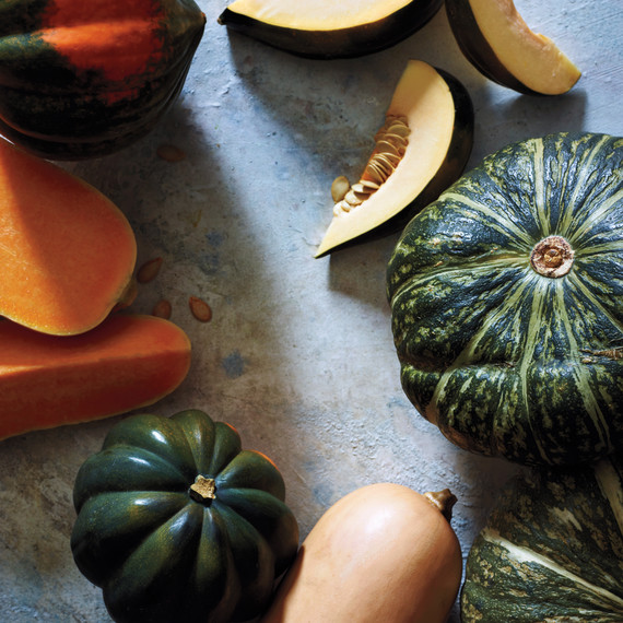 squash-beauty-049-d112223.jpg