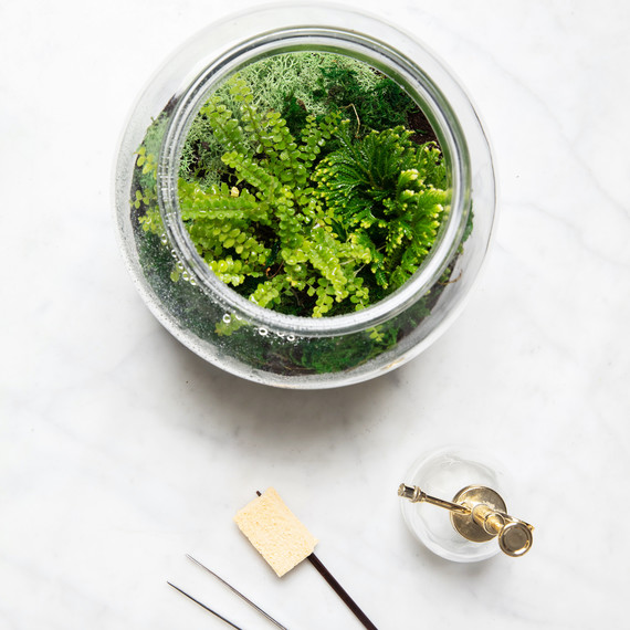 terrarium care tools terrarium care tools