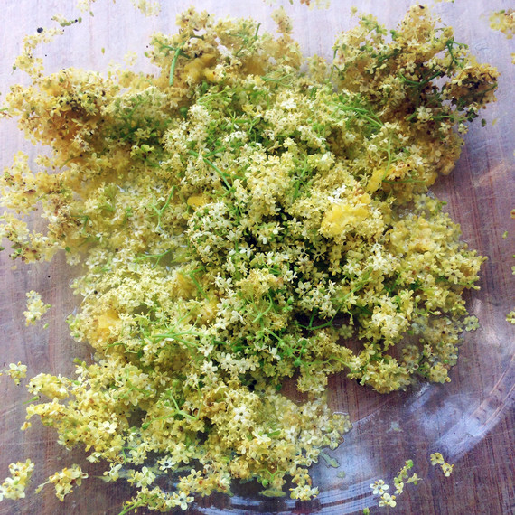 42burners-elderflower-0715.jpg
