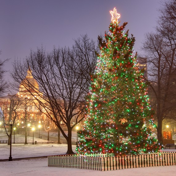 boston christmas tree boston christmas tree