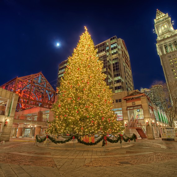 Boston's Christmas Tree Has Been Chosen for 2018 Martha Stewart