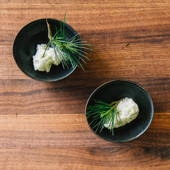 chefstepsdinnerpartysorbet.jpg (skyword:358110)