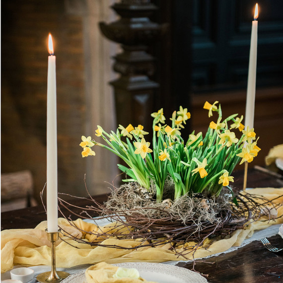 daffodils-nest-easter-0313.jpg