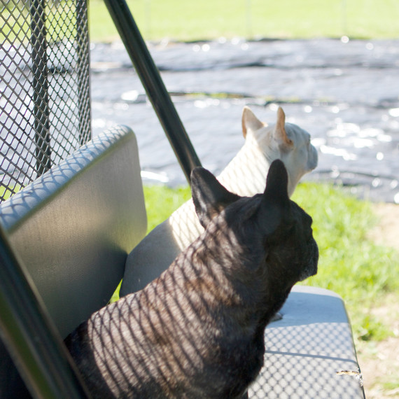 donkeypaddock-7014-fs-0614.jpg