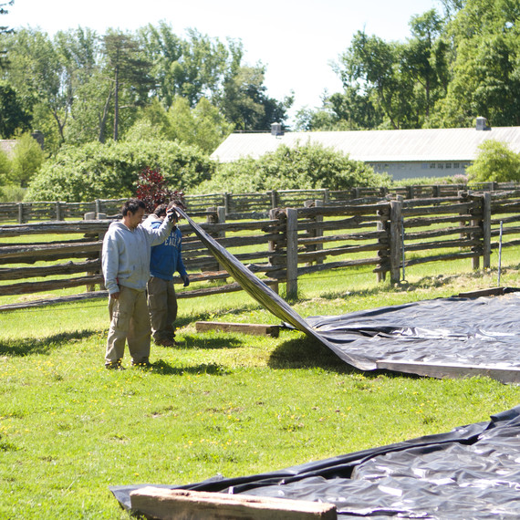 donkeypaddock-7021-fs-0614.jpg